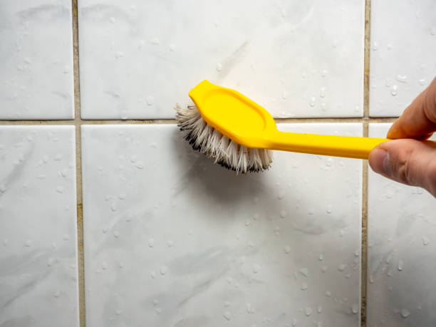 Best Commercial Mold Remediation in Barneveld, WI