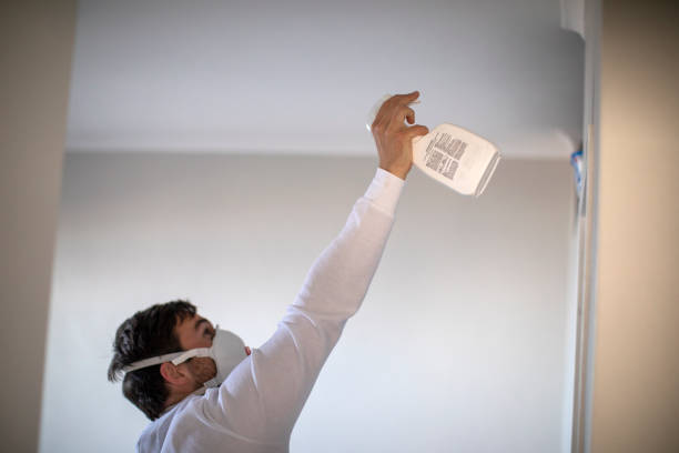 Best Insurance-Related Mold Remediation in Barneveld, WI