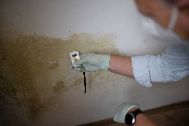 Best Mold Testing and Inspection Services in Barneveld, WI